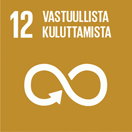 vastuullista kuluttamista